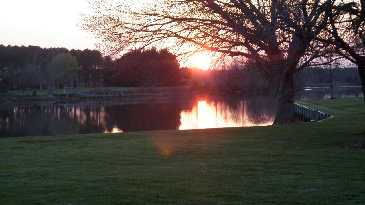 Photo of Outdoor in Cambridge