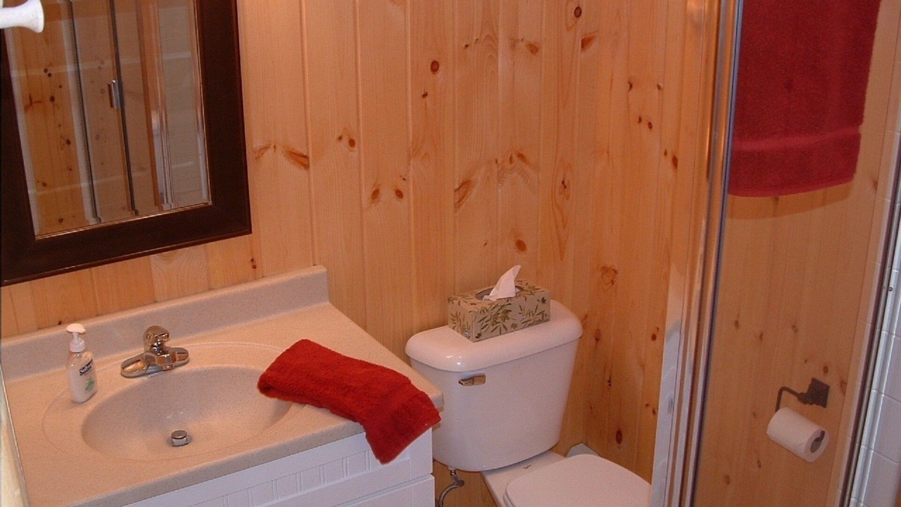 Photo of Bathroom in Elkins