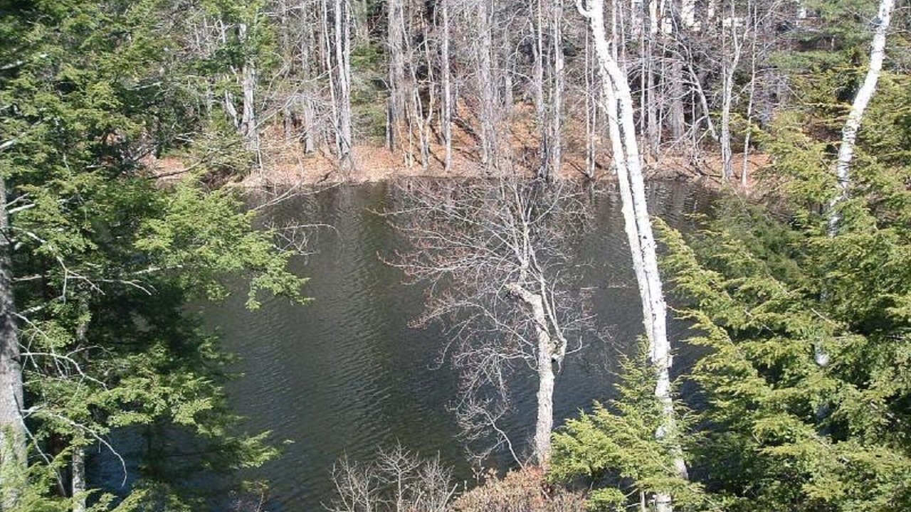 Photo of Outdoor in Elkins