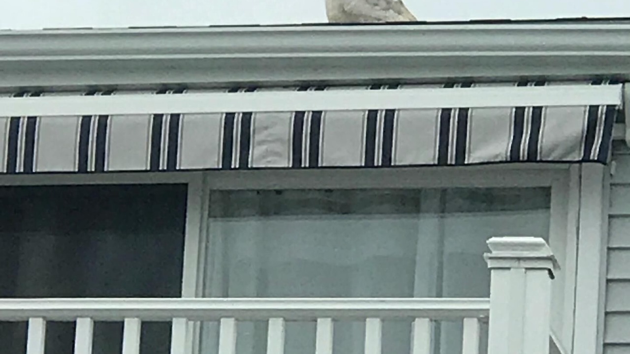 Photo of Others in Hampton