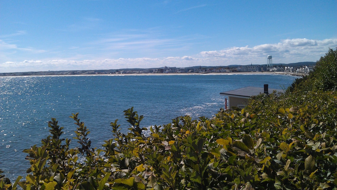 Photo of Others in Hampton