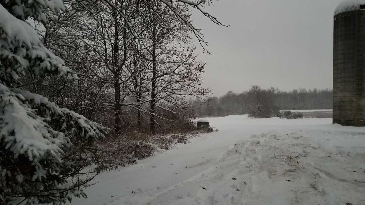 Photo of Outdoor in Falconer