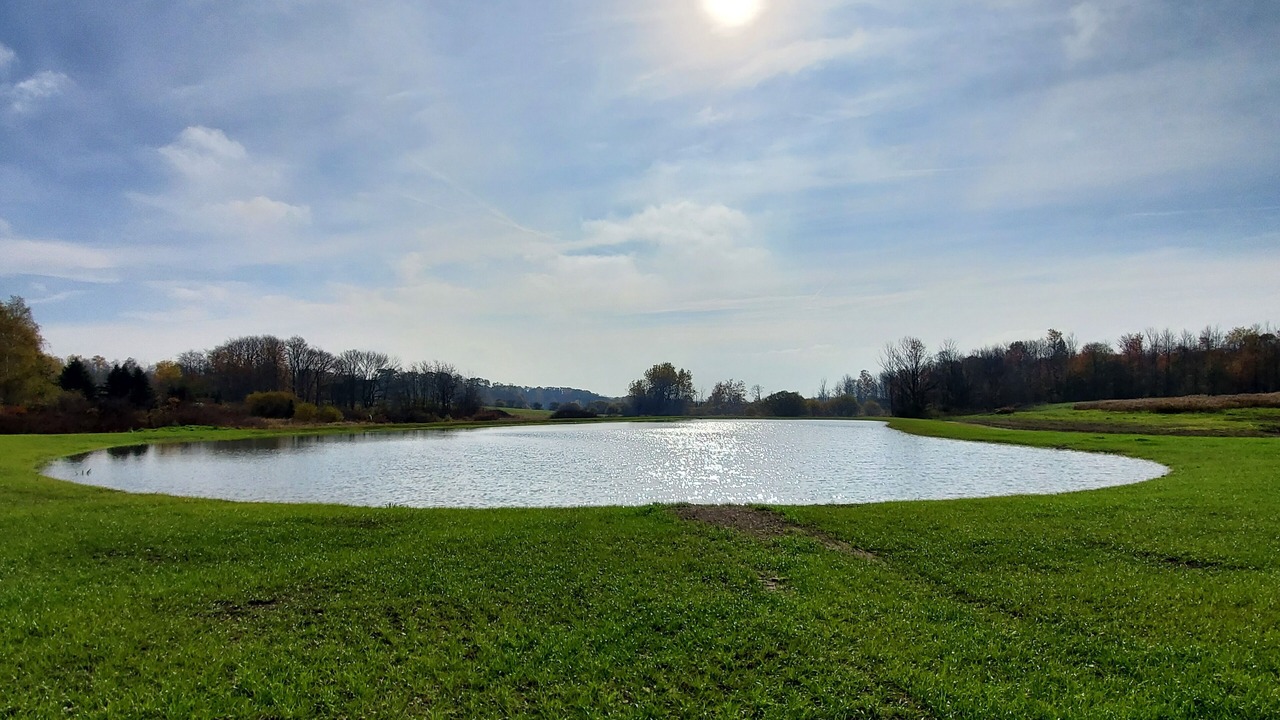 Photo of Outdoor in Falconer