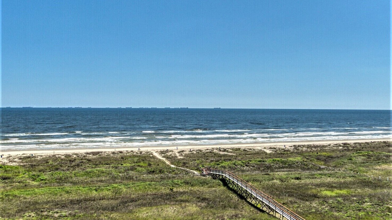 Photo of Others in Galveston