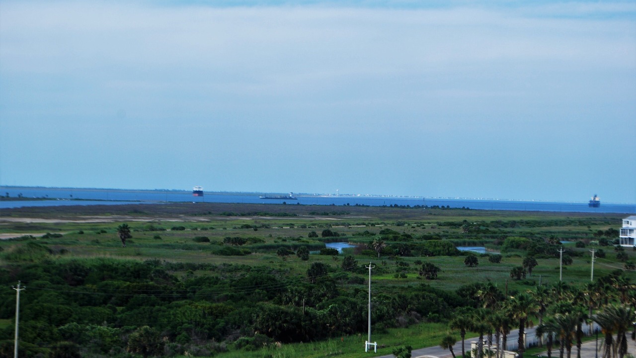 Photo of Others in Galveston