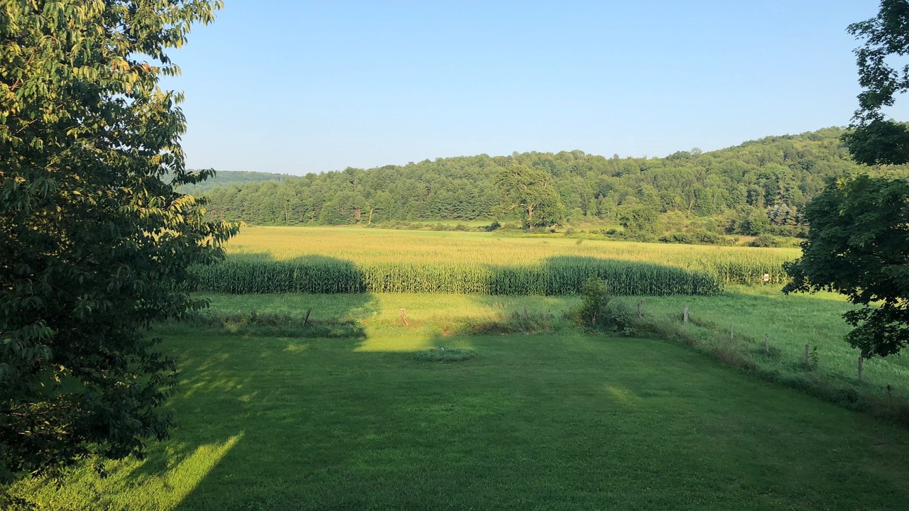 Photo of Others in Poultney