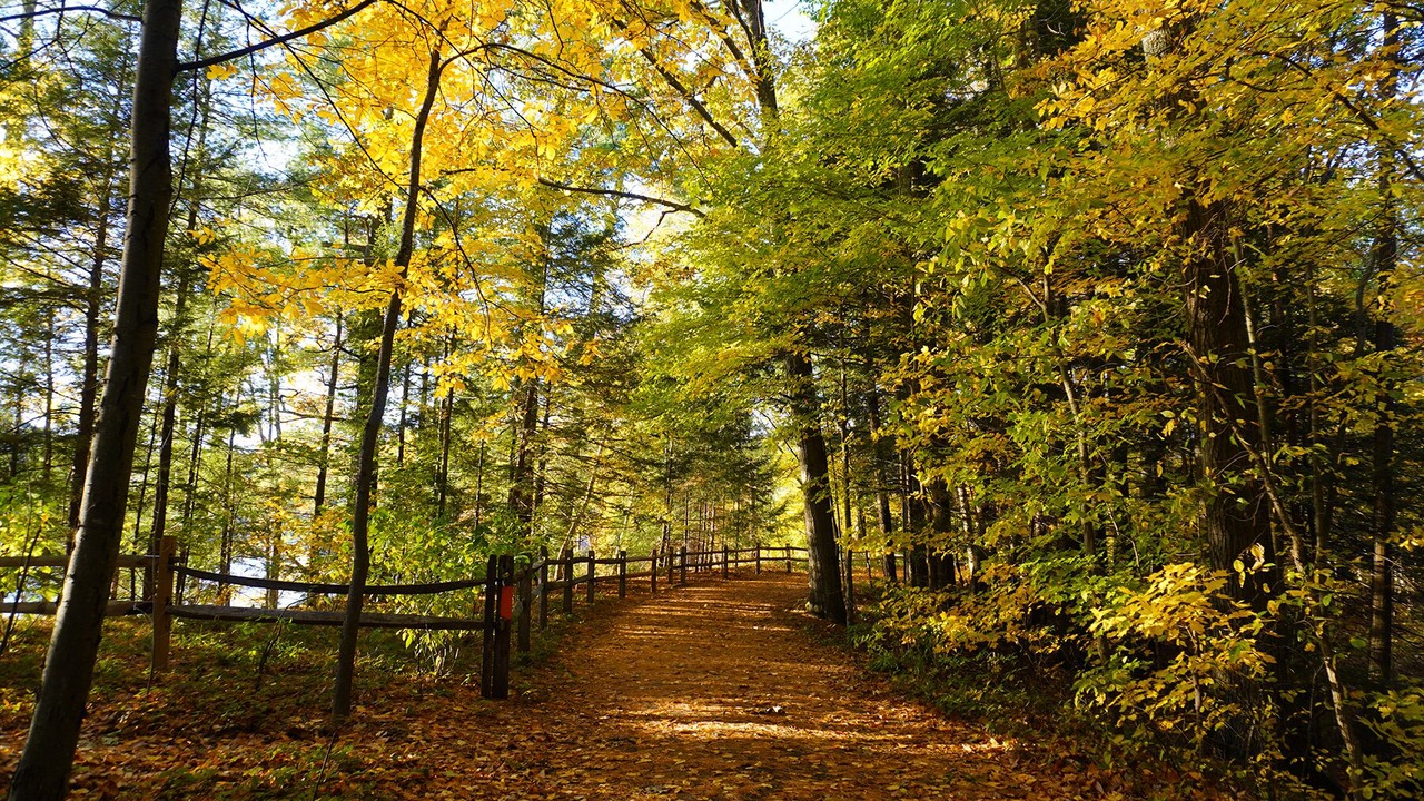 Photo of Outdoor in Poultney
