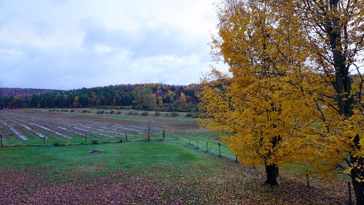Photo of Outdoor in Poultney