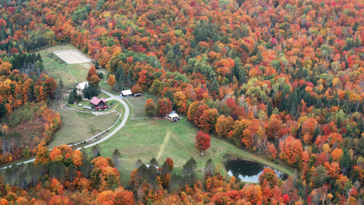 Photo of Outdoor in Washington
