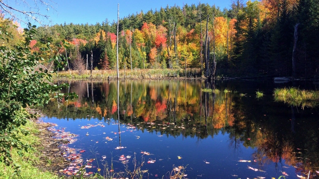 Photo of Outdoor in Keene Valley