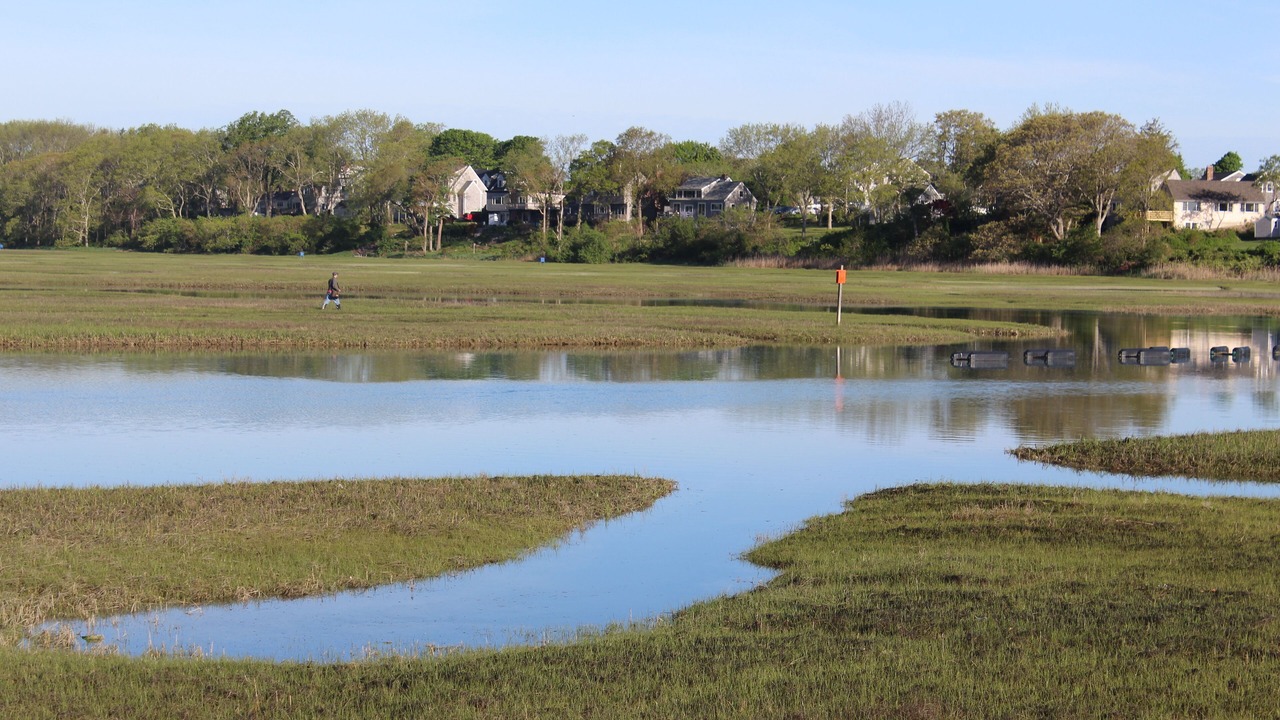 Photo of Outdoor in East Falmouth