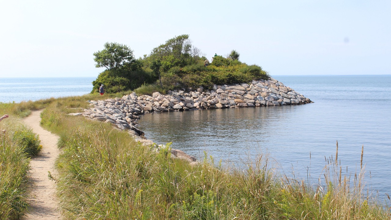 Photo of Others in East Falmouth