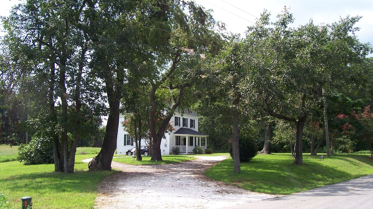Photo of Outdoor in Birdsnest