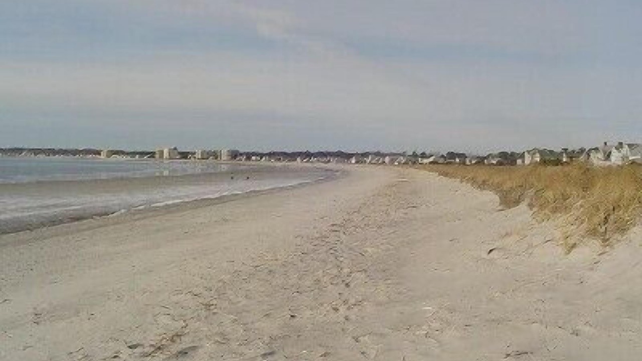 Photo of Others in Pine Point