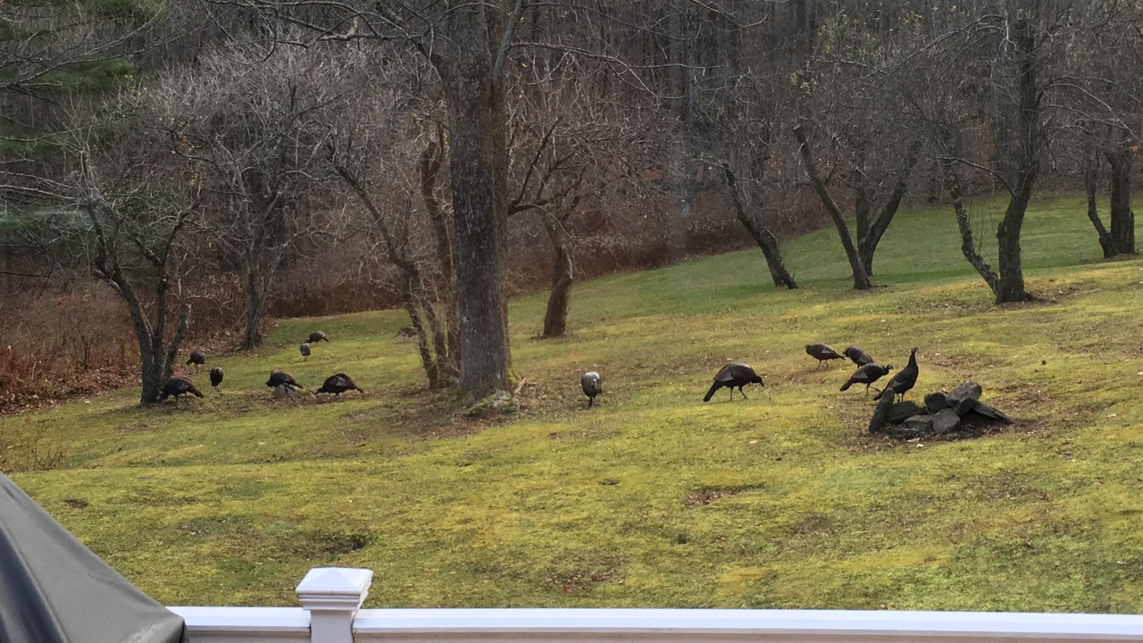 Photo of Outdoor in Shandaken