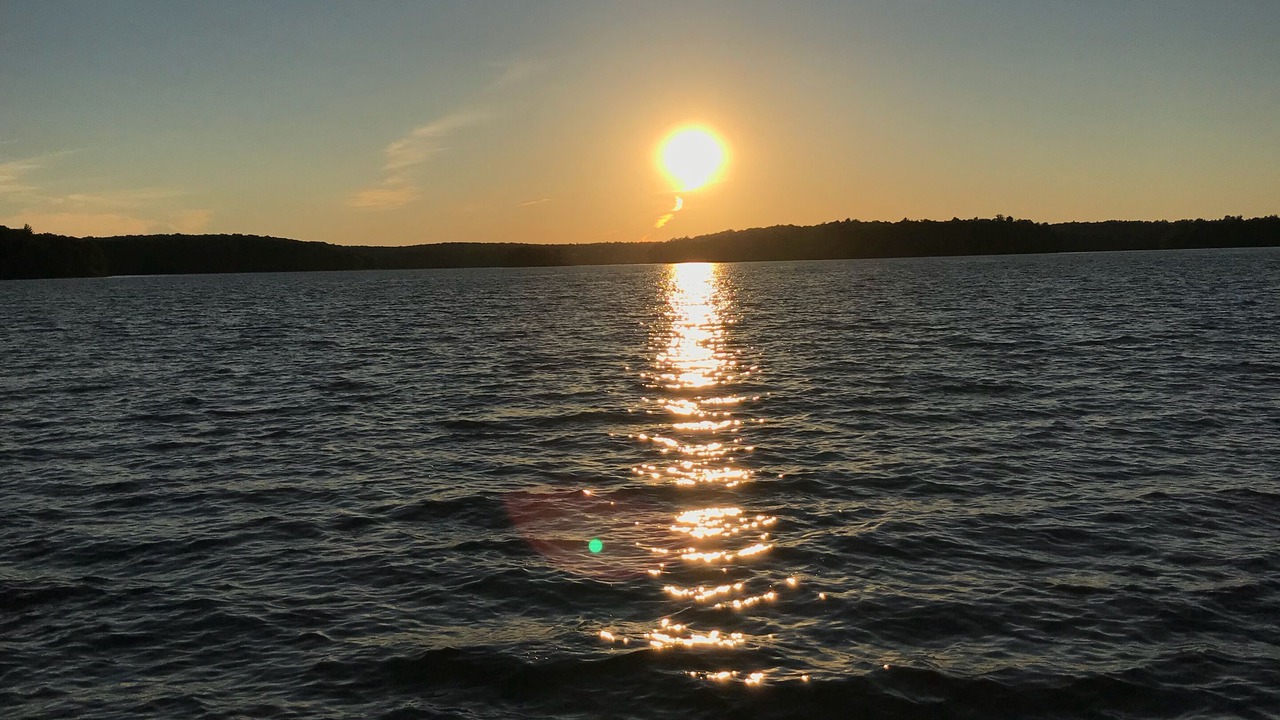 Photo of Others in White Lake