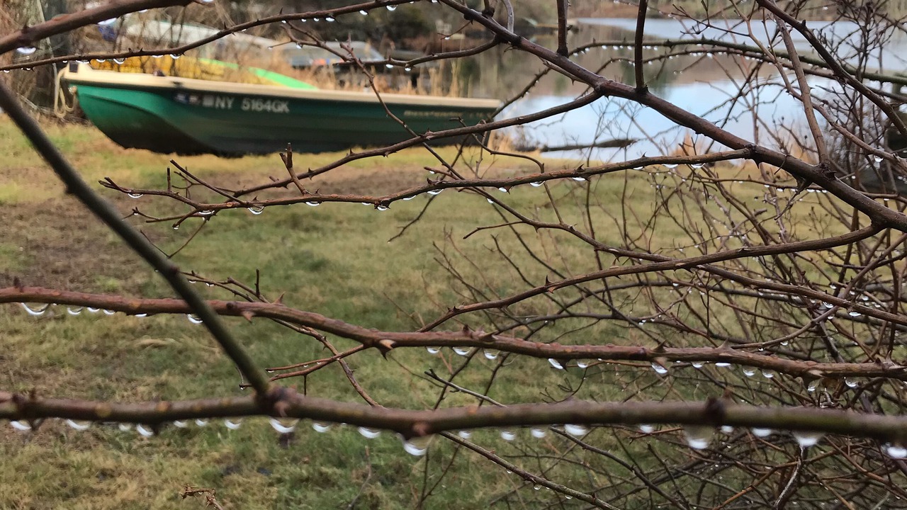 Photo of Outdoor in White Lake