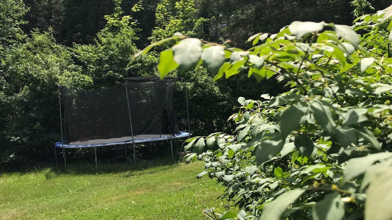 Photo of Outdoor in White Lake