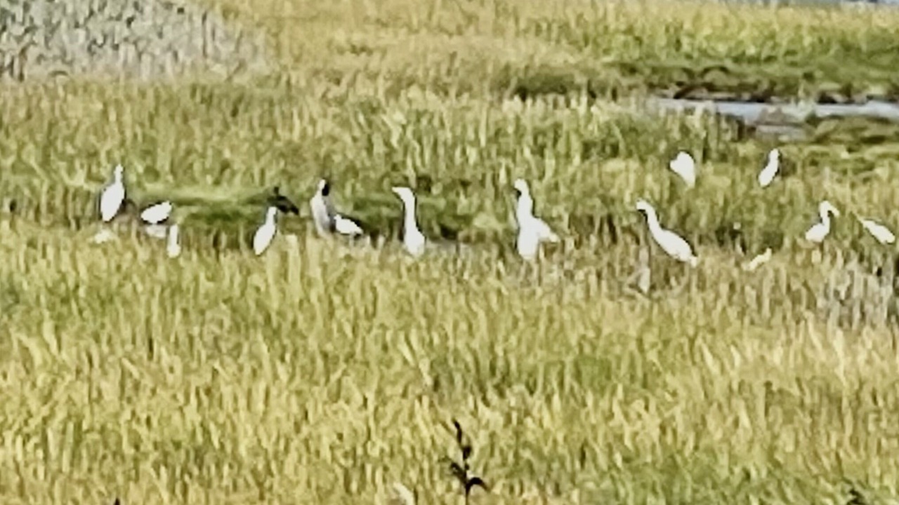 Photo of Others in Hampton