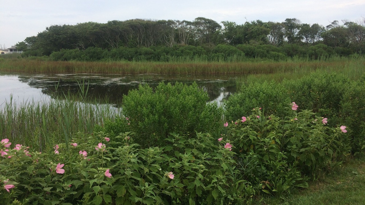 Photo of Outdoor in South Kingstown