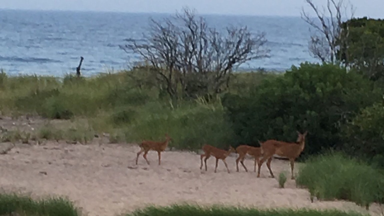 Photo of Others in South Kingstown