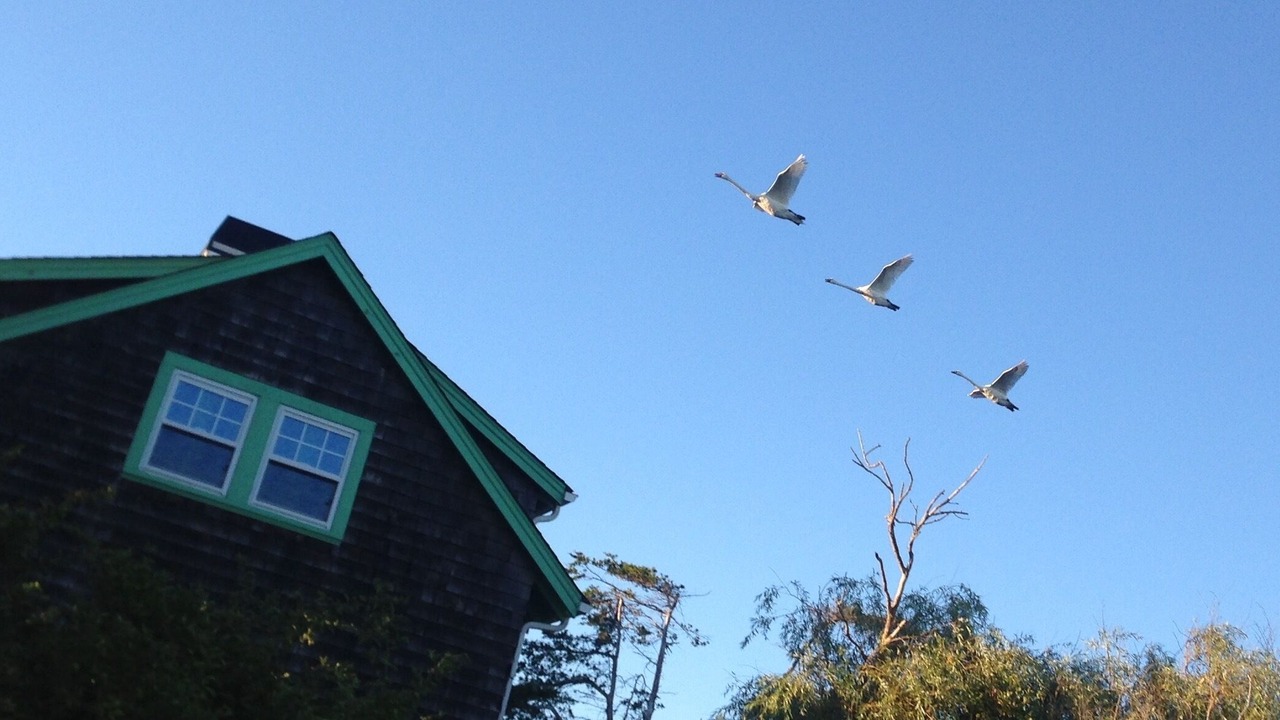 Photo of Outdoor in South Kingstown