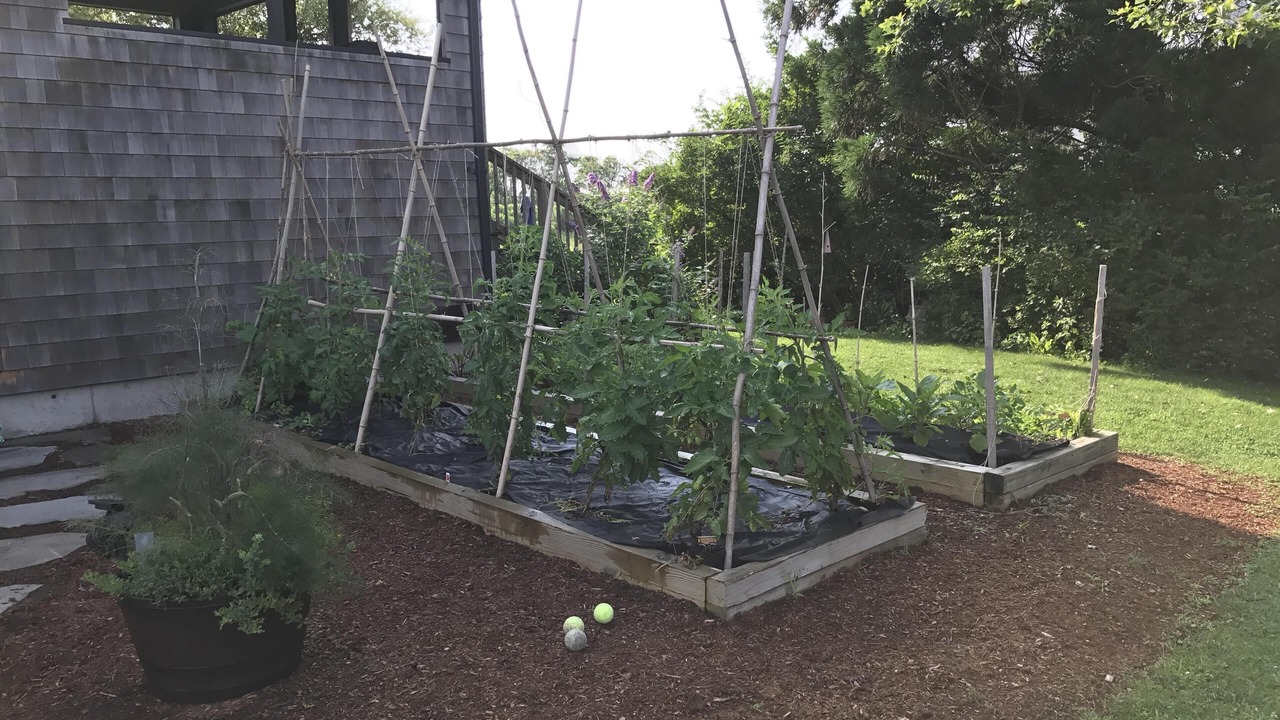 Photo of Outdoor in South Kingstown