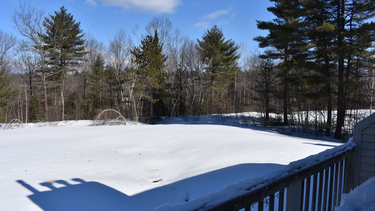 Photo of Outdoor in Center Conway