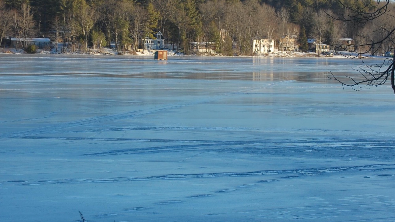 Photo of Others in Windham