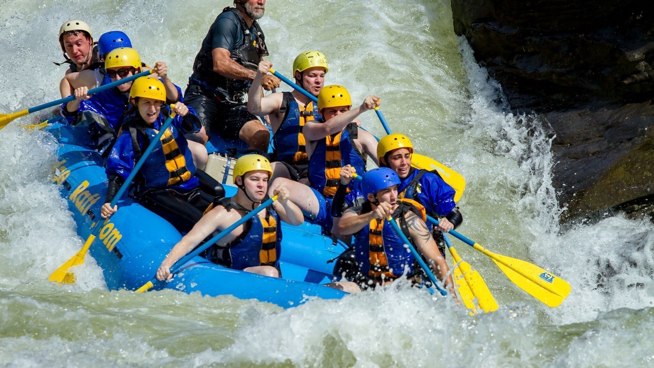 Photo of Others in Ansted