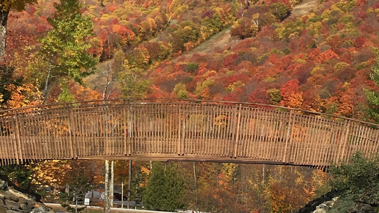 Photo of Outdoor in Central Vermont- Killington