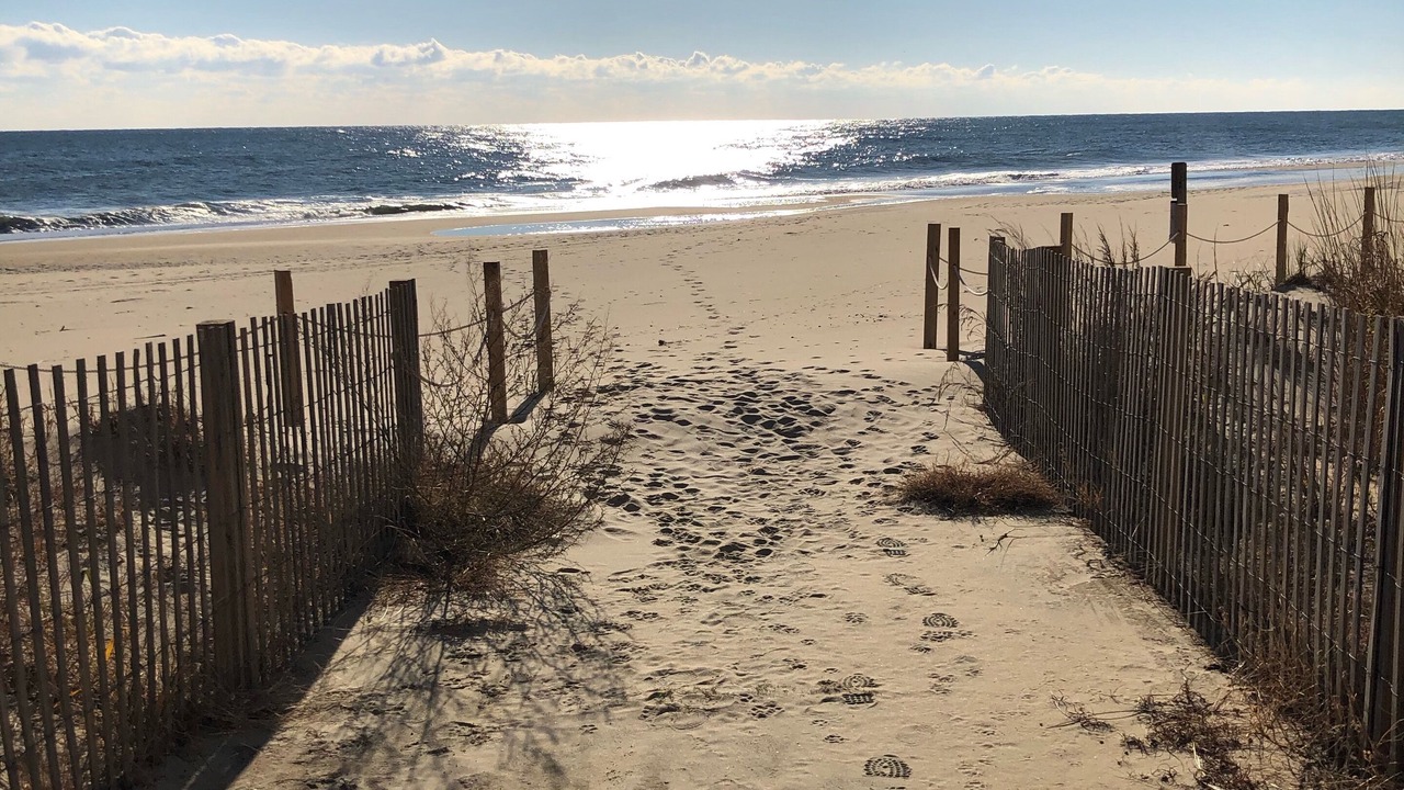 Photo of Others in North Ocean City