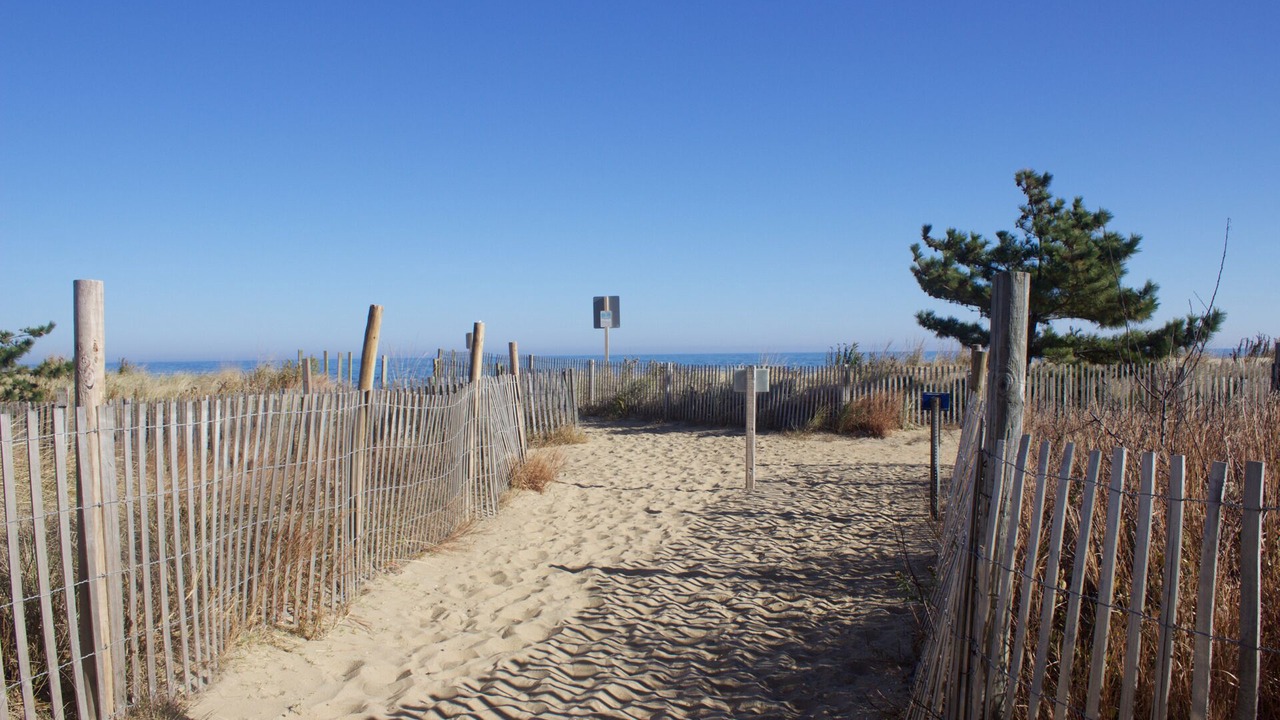 Photo of Others in North Ocean City