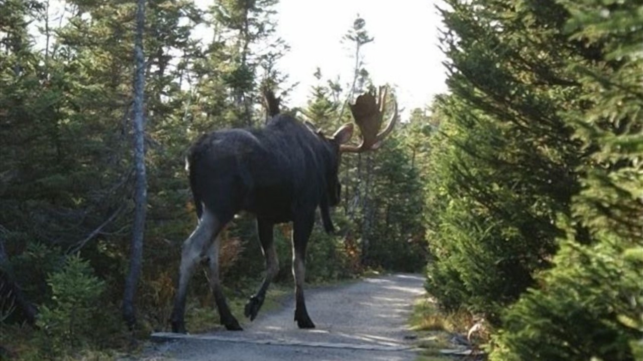 Photo of Others in Upton