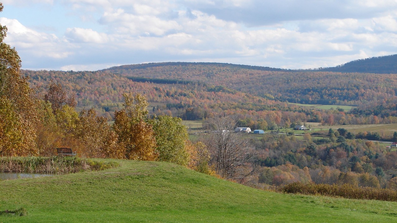 Photo of Outdoor in Mount Upton