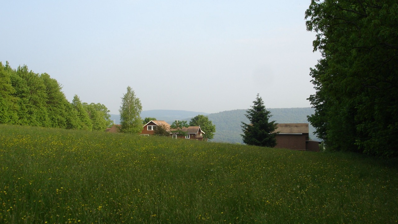Photo of Outdoor in Mount Upton