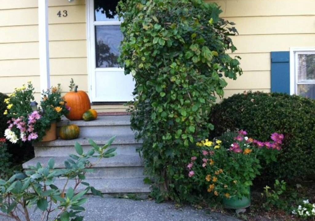 Photo of Outdoor in Burlington