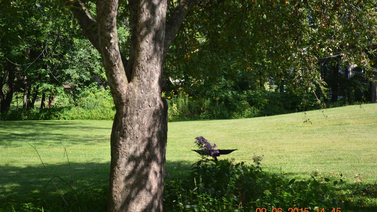Photo of Outdoor in South Deerfield