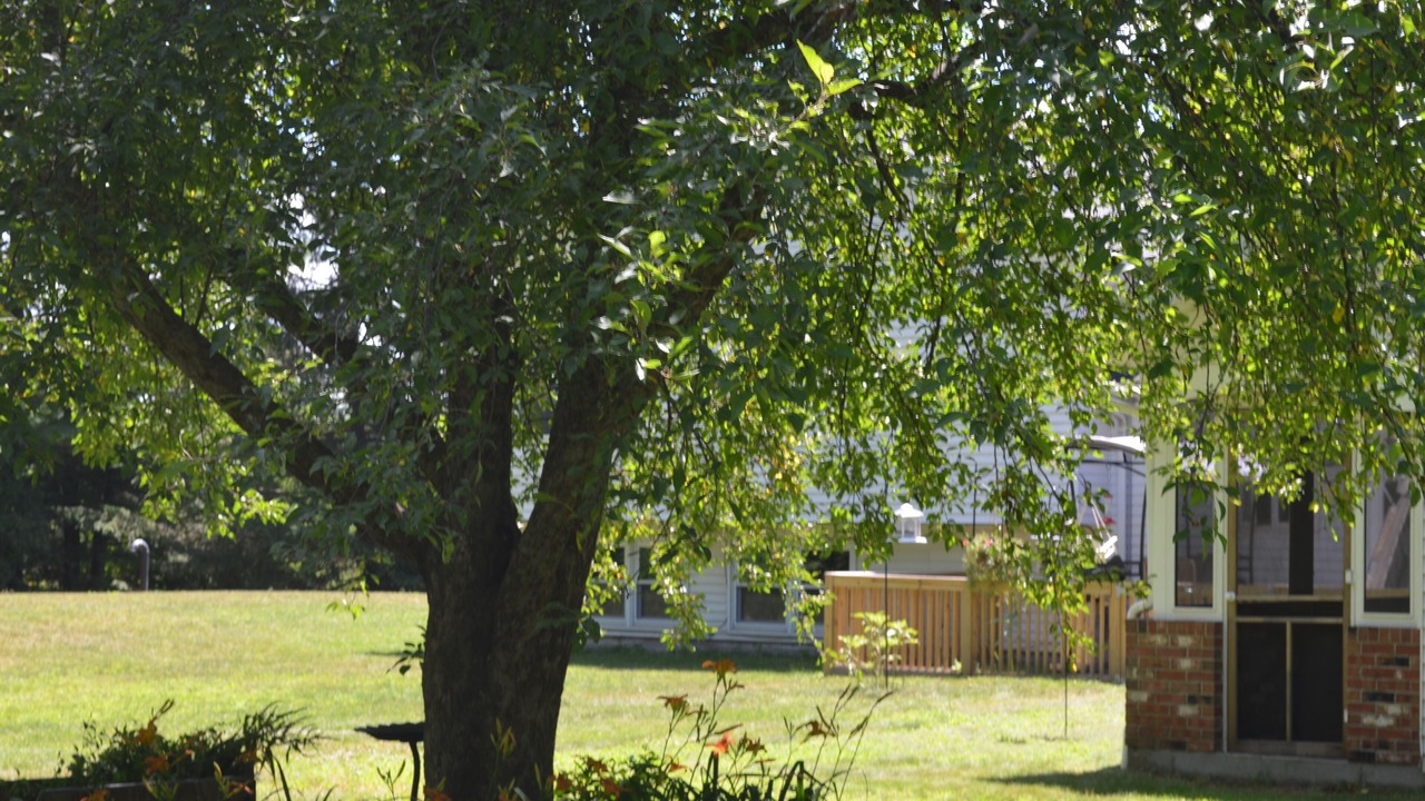 Photo of Outdoor in South Deerfield