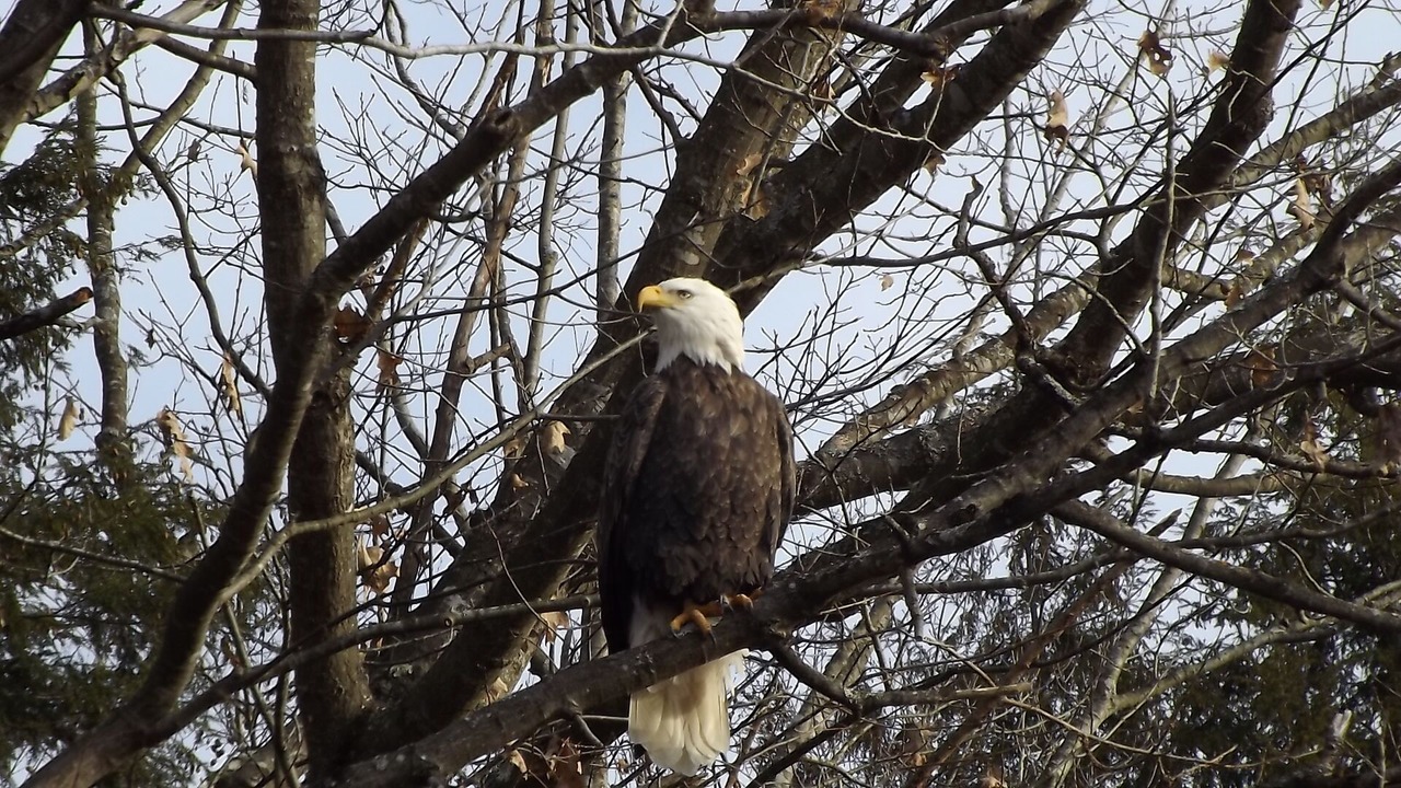 Photo of Others in Northville