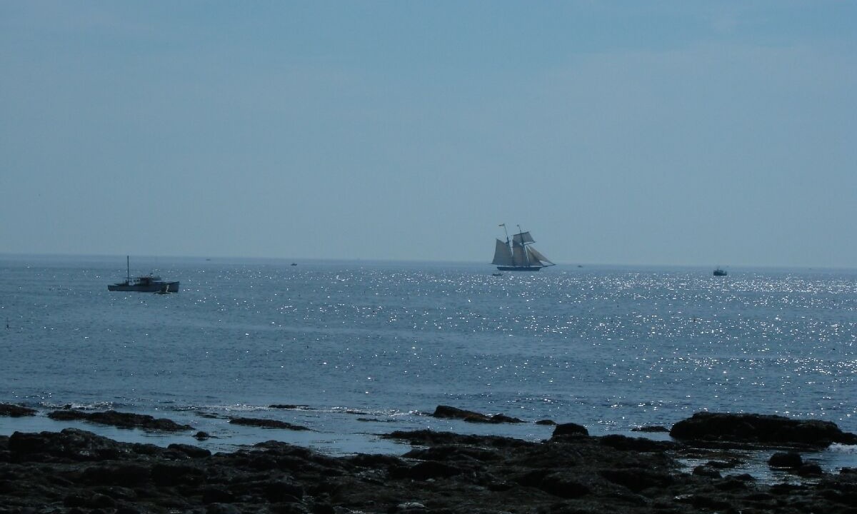 Photo of Others in Rye