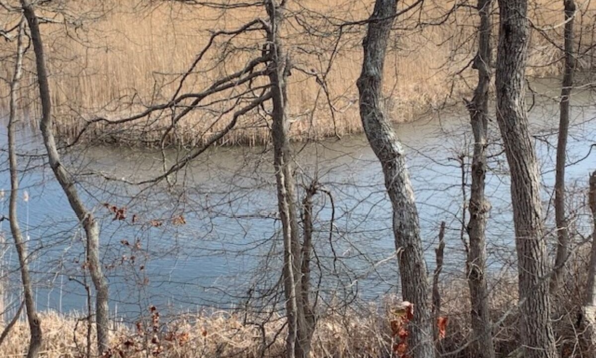 Photo of Others in Hyannis Port