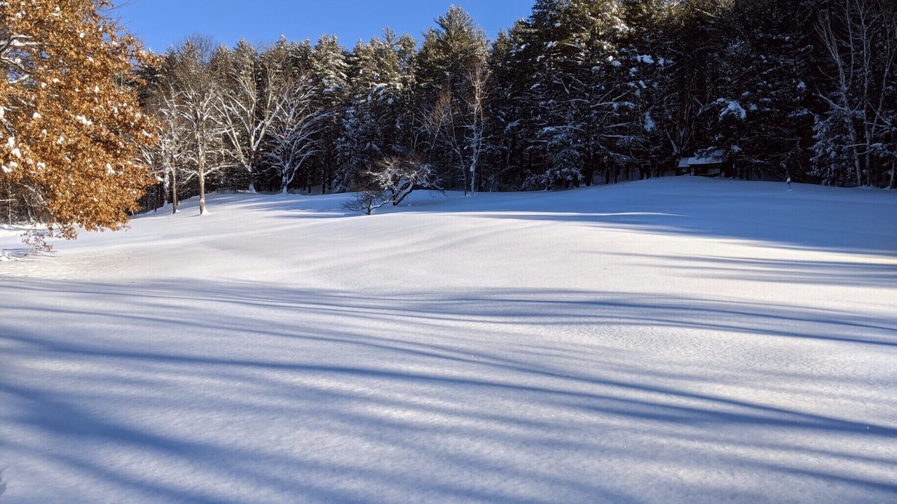 Photo of Outdoor in Windsor