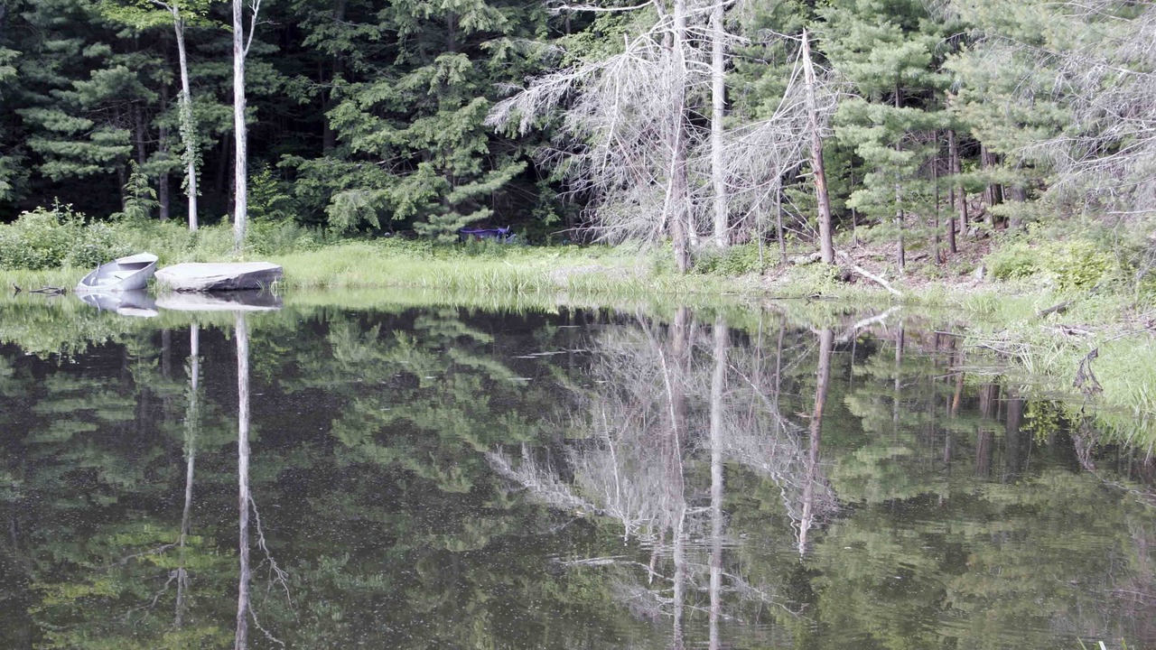 Photo of Outdoor in Woodstock