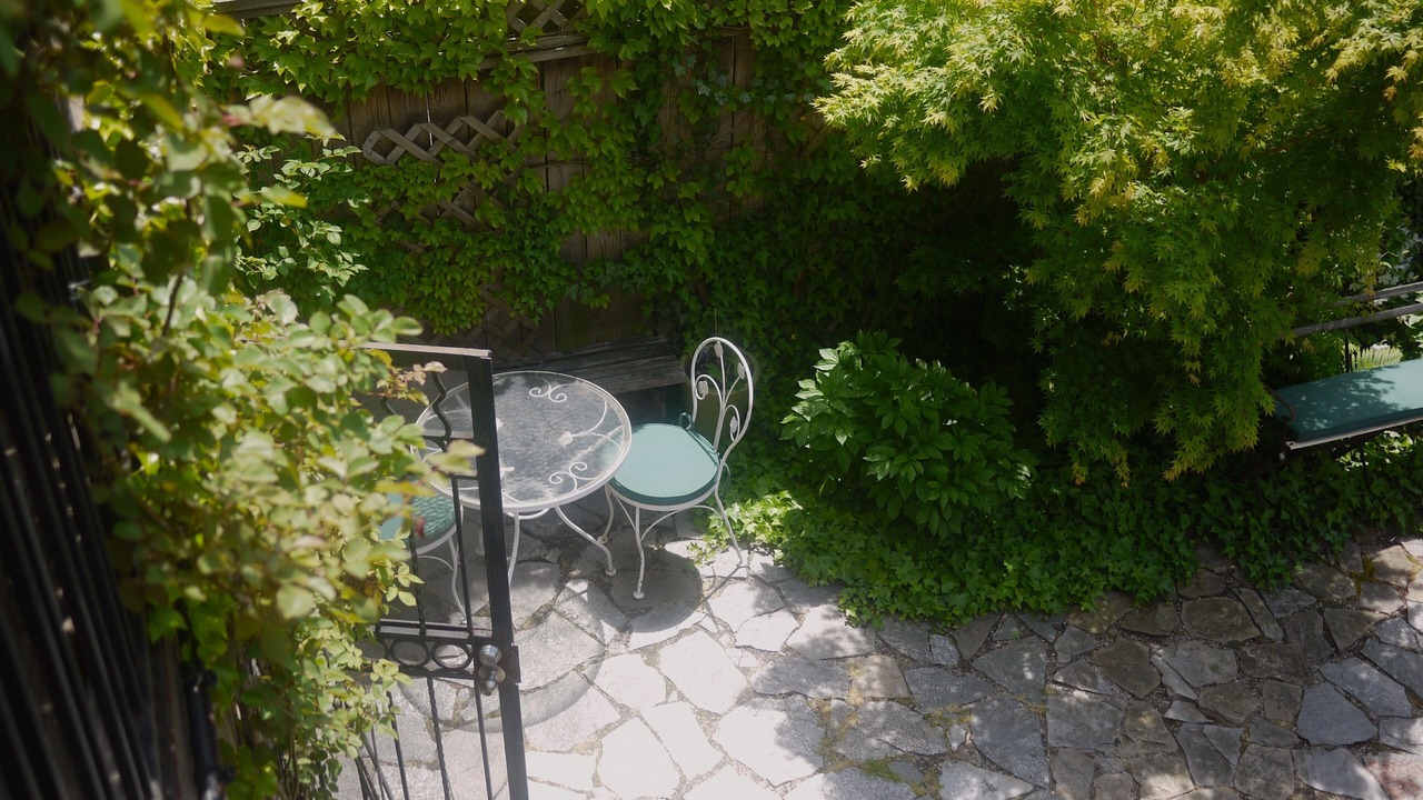 Photo of Outdoor in Central Park North
