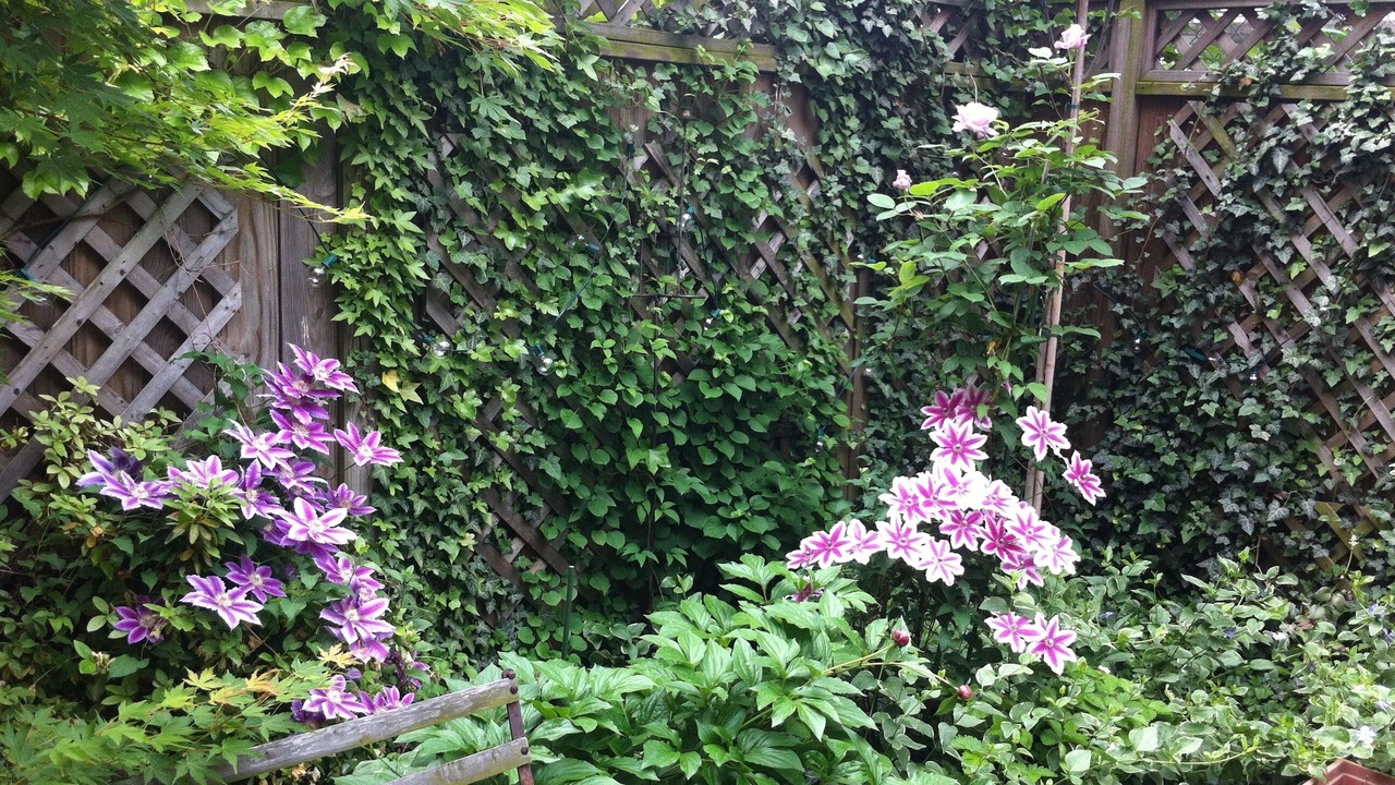 Photo of Outdoor in Central Park North