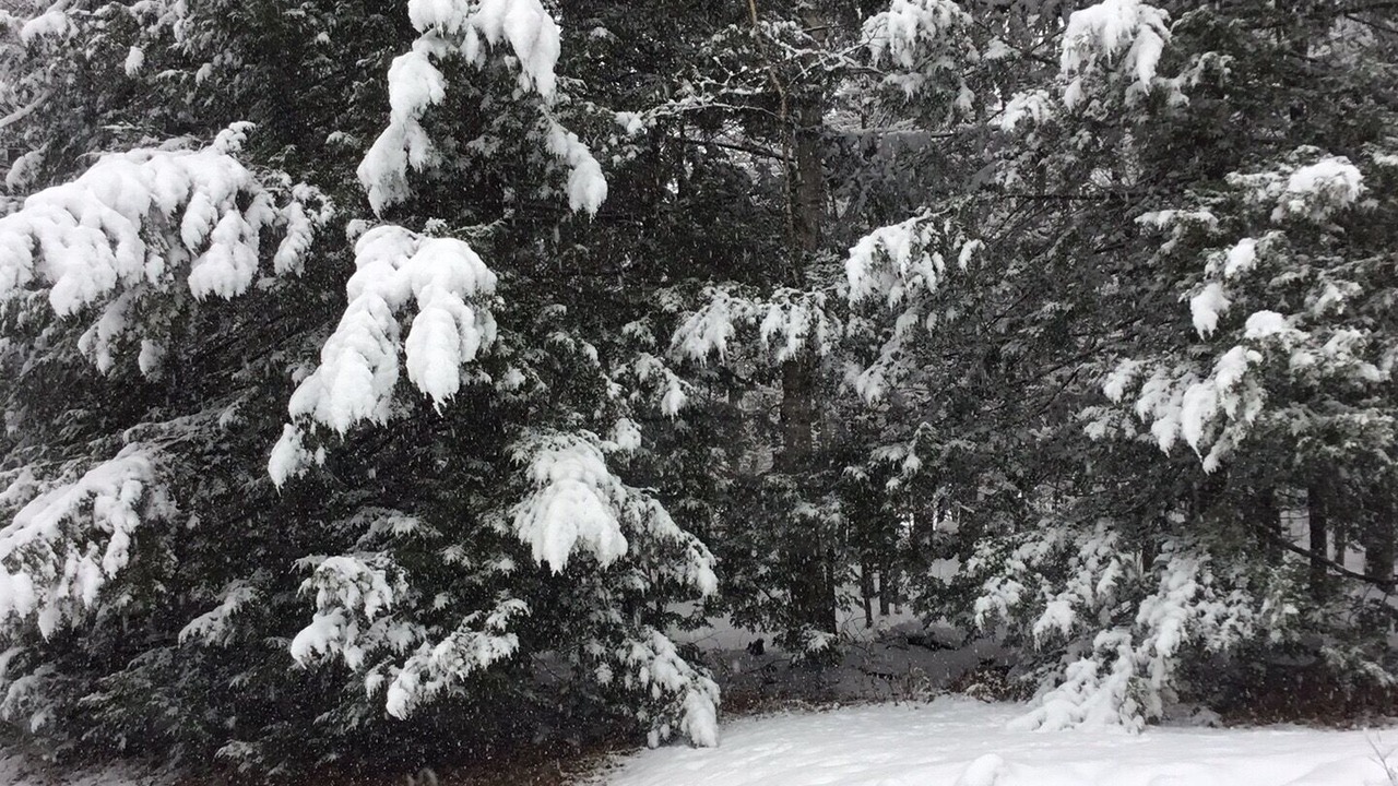 Photo of Others in Bridgewater