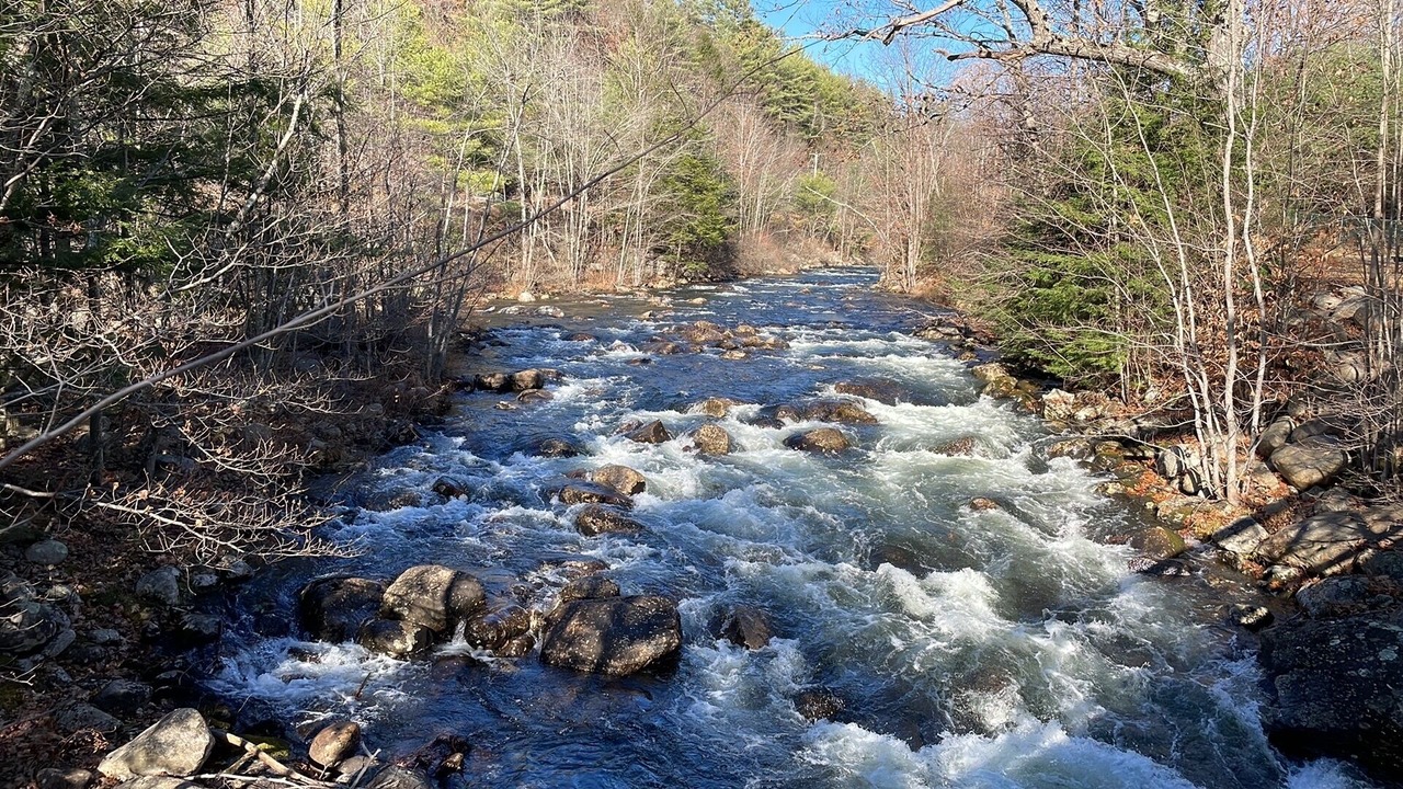 Photo of Others in Bridgewater