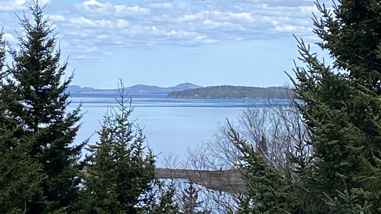 Photo of Others in Eastport