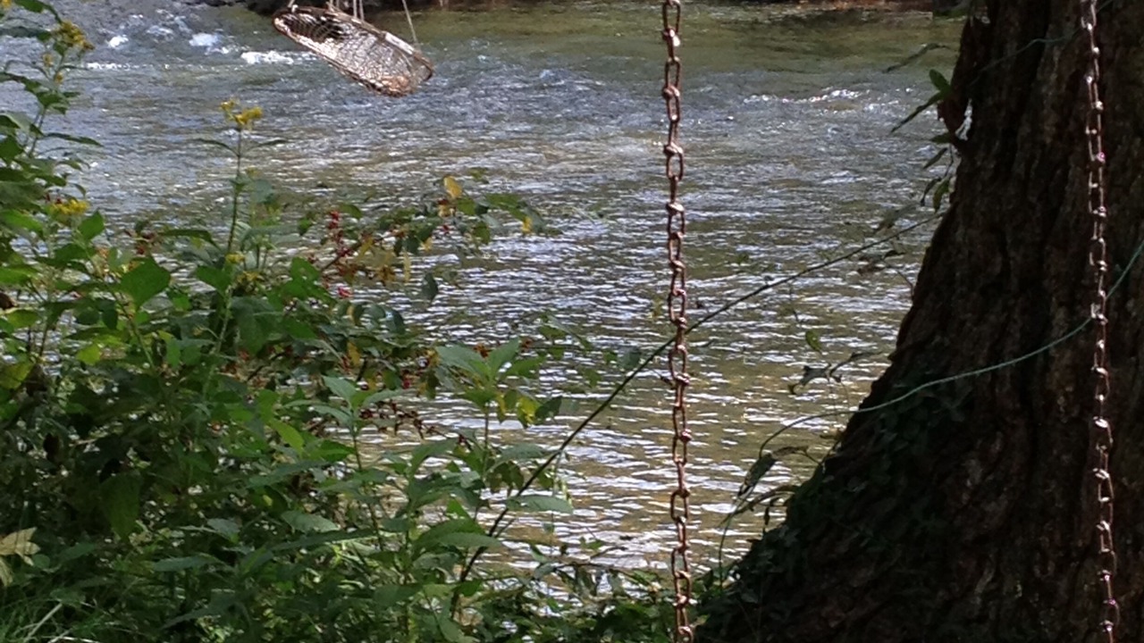 Photo of Others in Covington